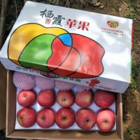 新下红富士苹果水果礼盒装脆甜正宗山东烟台栖霞新鲜当季整箱送礼