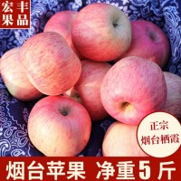 新下霜果滋红富士苹果山东烟台栖霞当季脆甜冰糖心脆甜包邮送礼年