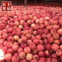 红富士苹果水果礼盒脆甜正宗山东烟台栖霞新鲜整箱批发送礼80mm