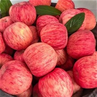 山东红富士红苹果脆甜可口