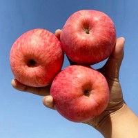 产地直发陕西延安洛川红富士苹果5斤/10斤脆甜新鲜水果一件代发