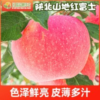 产地直发陕北米脂当季新鲜苹果红富士脆甜多汁水果礼盒12颗装直邮