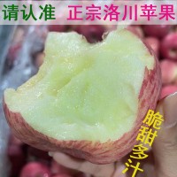 正宗洛川红富士苹果 新鲜水果洛川直发甜脆多汁陕西洛川苹果批发