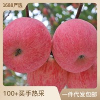洛川直发陕西洛川红富士苹果 新鲜水果甜脆多汁正宗洛川苹 果 批发