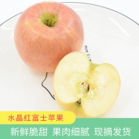 陕西礼泉红富士苹果脆甜新鲜采摘水果红蛇果宝宝辅食苹果产地批发