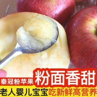 正宗陕西秦冠苹果粉面沙甜老树红香蕉丑苹果应季水果整箱非冰糖心