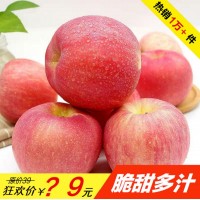 正宗陕西红富士苹果水果套袋新鲜应季整箱10/5斤非冰糖心苹果