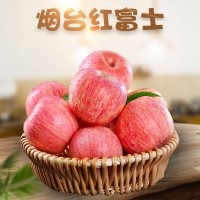 全年供应山东烟台栖霞红富士 代发3/5斤应季新鲜孕妇水果非丑
