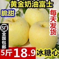 烟台奶油富士苹果新鲜水果10斤代批发糖心山东黄金奶油苹果礼盒装