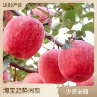 新鲜红富士苹果10斤烟台红富士苹果应季水果整箱农产品苹果批发