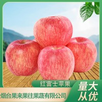 批发红富士一件代发90大果脆甜多汁爽口条红全红香甜可口冰糖心烟