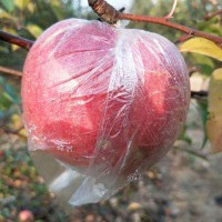 陕西冰糖心丑脆甜红富士当季应季新鲜水果一整箱批发量大从优包邮