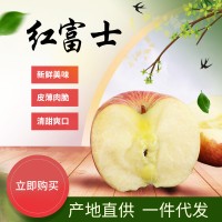 烟台红富士苹果脆甜多汁条纹片红栖霞苹果礼盒新鲜脆甜苹果批发