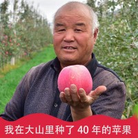 【产地直发】甘肃静宁红富士苹果冰糖心斤/斤应季水果批发
