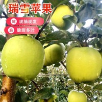 西北农林瑞雪青苹果脆甜爽口清香纯正滋味当季新鲜顺丰包邮