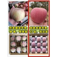 山西运城万荣优质红富士苹果新鲜水果超大脆甜冰糖心丑特大果10斤