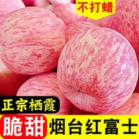 山东烟台栖霞红富士苹果应季水果新鲜整箱批发脆甜10斤/5斤/3斤