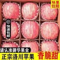 正宗洛川苹果红富士水果批发应季水果苹果冰糖心新鲜水果整箱批发
