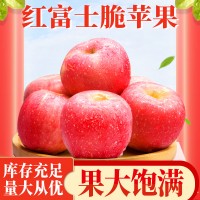大凉山苹果香脆清甜90以上大果礼盒装苹果58元/6斤/盒包邮 红富士