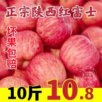 苹果水果新鲜当季整箱正宗陕西洛川红富士脆甜10斤冰糖心苹果栖霞