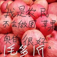山东烟台红富士苹果10斤新鲜水果当季正宗栖霞冰糖心萍果整箱包邮