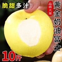 山东奶油富士苹果10斤新鲜现摘水果烟台黄金当季整箱奶香苹果包邮