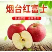 【全年供应】烟台红富士代发3/5斤新鲜应季脆甜多汁丘陵苹果