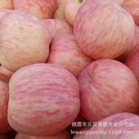 烟台苹果价格 栖霞红富士80#1-2级 产地销售 超市商超 价格可谈