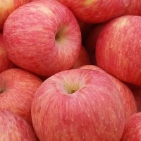 鲁旺烟台品牌红富士苹果 10斤装18-20个38元/箱 支持一件代发