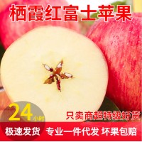 一件代发2022年山东烟台红富士苹果新鲜当季3斤9斤脆甜爆汁平果