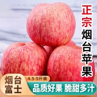 苹果水果新鲜当季整箱烟台红富士苹果正宗山东栖霞脆甜10斤批发价