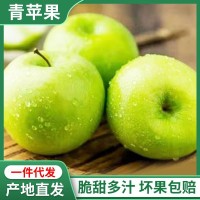 现摘青苹果5/10斤脆甜酸甜苹果孕妇当季新鲜水果青苹果整箱批发