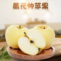 代发供应 黄元帅苹果 5斤整箱新鲜水果批发刮泥香甜粉面