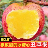 丑苹果爆甜云南昭通冰糖心脆甜新鲜水果当季红富士果整箱批发批发