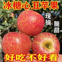 苹果批发丑冰糖心当季新鲜红富士脆甜水果2/5/斤整箱价跨境批发