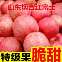 山东烟台栖霞红富士苹果脆甜新鲜水果批发整箱3/5/10斤丑平果批发