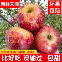 凉山丑苹果大凉山冰糖心脆甜红富士新鲜水果10斤包邮批发