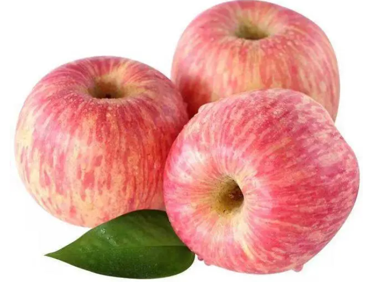 微信截图_20230522164304