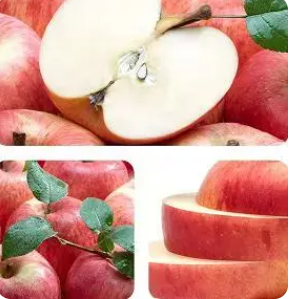 微信截图_20230522164310