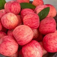 精品红富士 冰糖心苹果 果肉饱满 果径75mm 玉名水果