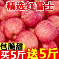 苹果脆现发冰糖心新鲜红丑现摘新鲜水果整箱一件代发量大从优包邮