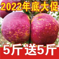 名大凉山丑苹果冰糖心脆甜当季新鲜水果批发一整箱10斤