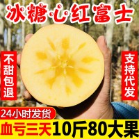 红富士苹果10斤整箱 应季新鲜水果批发 脆甜多汁山西冰糖心丑苹果