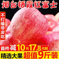 烟台红富士苹果水果9斤新鲜山东栖霞特产脆甜丑萍果当季整箱5包邮