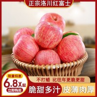 红富士苹果批发脆洛川条纹新鲜脆甜礼盒水果整箱独立站一件代发