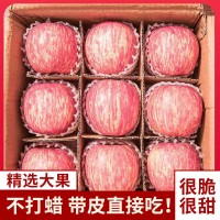 红富士苹果批发洛川脆甜不打蜡水果新鲜当季现摘10/5/3斤整箱代发