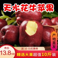 甘肃天水花牛苹果10斤大果新鲜当季孕妇水果整箱刮泥粉面婴儿辅食