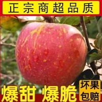 冰糖心脆甜红富士苹果产地直发平果新鲜当季水果3/5/10斤批发