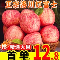陕西正宗洛川红富士苹果斤水果新鲜当季整箱脆甜延安冰糖心包邮10