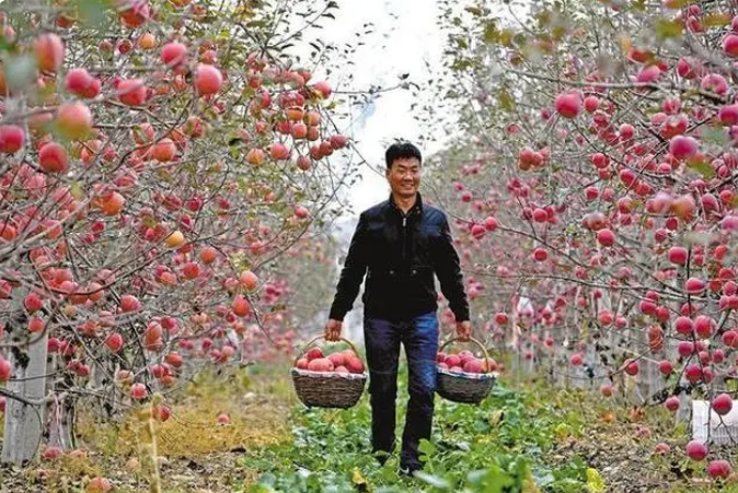 微信截图_20230526150212